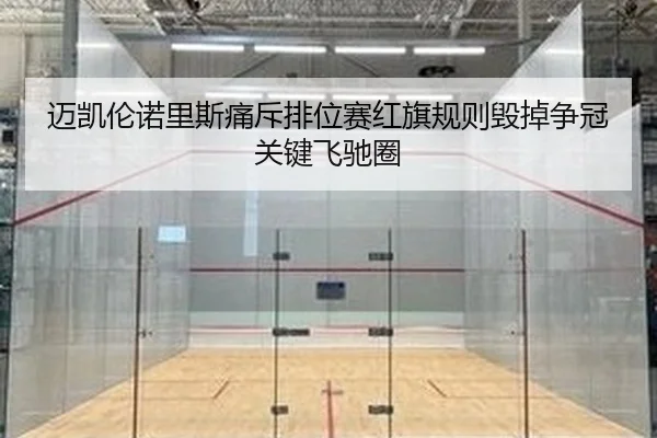 mai-kai-lun-nuo-li-si-tong-chi-pai-wei-sai-hong-qi-gui-ze-hui-diao-zheng-guan-guan-jian-fei-chi-quan-2-208.jpg